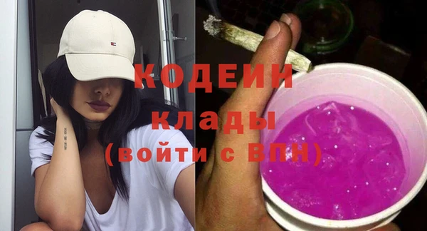 крисы Абаза