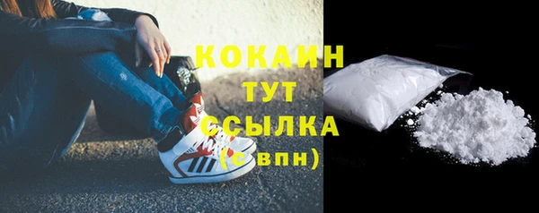крисы Абаза