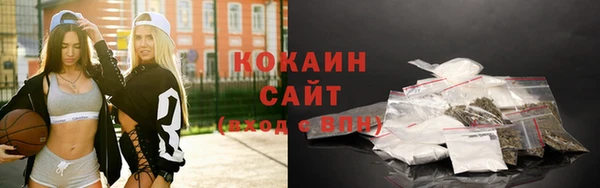 крисы Абаза