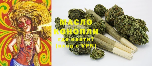 крисы Абаза